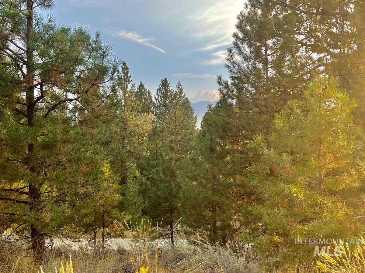 30 Four Seasons Drive, Cascade, Idaho 83611, Land For Sale, Price $150,000, 98977498