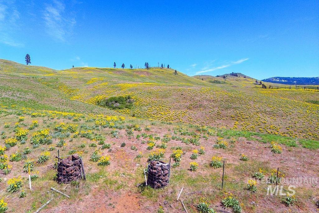255 ac Fall Creek Road, Council, Idaho 83612, Land For Sale, Price $625,000, 98977502