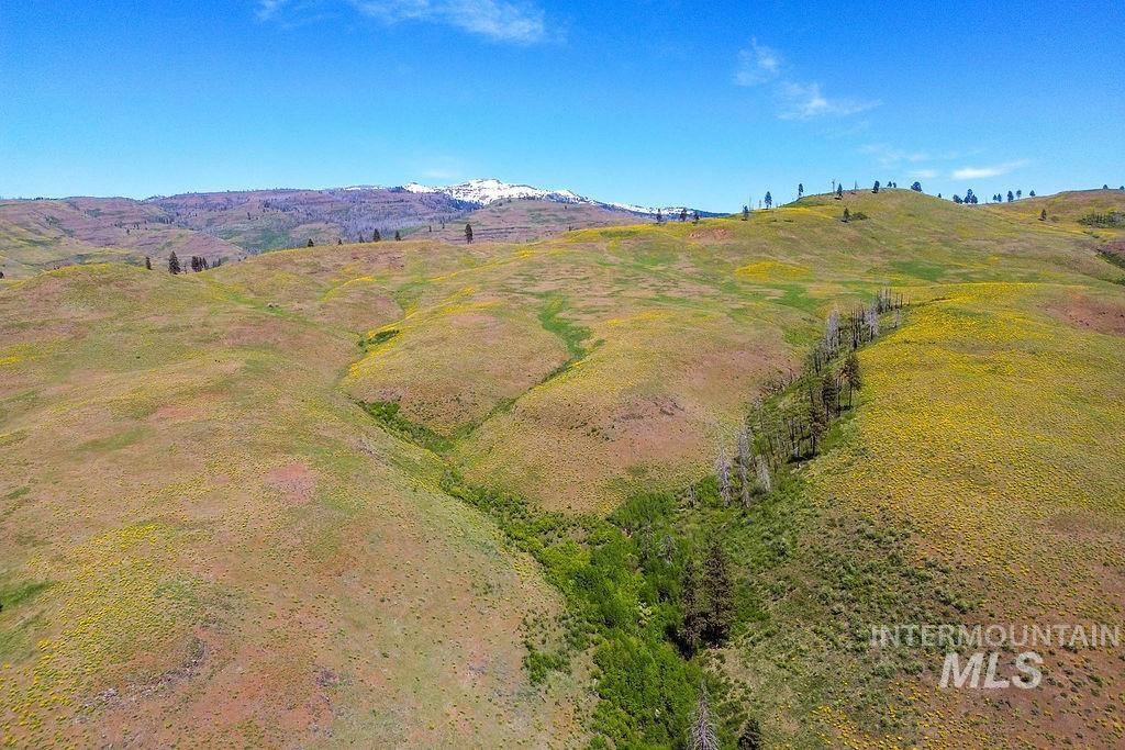 255 ac Fall Creek Road, Council, Idaho 83612, Land For Sale, Price $625,000, 98977502