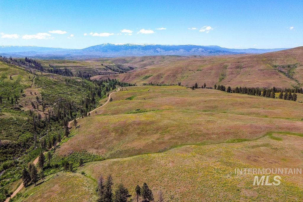 255 ac Fall Creek Road, Council, Idaho 83612, Land For Sale, Price $625,000, 98977502
