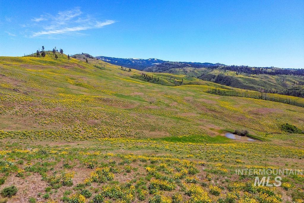 255 ac Fall Creek Road, Council, Idaho 83612, Land For Sale, Price $625,000, 98977502