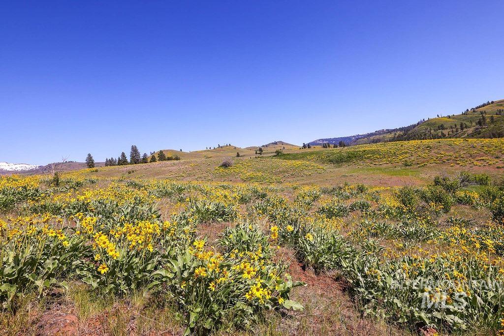 255 ac Fall Creek Road, Council, Idaho 83612, Land For Sale, Price $625,000, 98977502