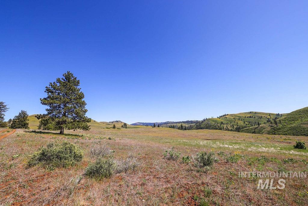 255 ac Fall Creek Road, Council, Idaho 83612, Land For Sale, Price $625,000, 98977502