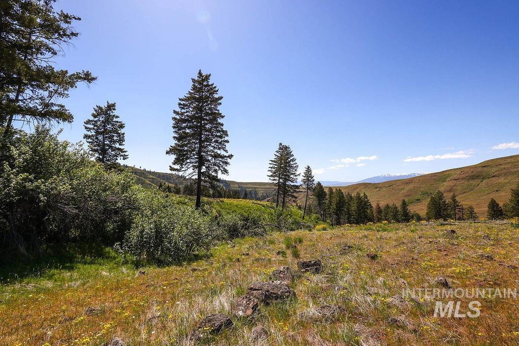 255 ac Fall Creek Road, Council, Idaho 83612, Land For Sale, Price $625,000, 98977502
