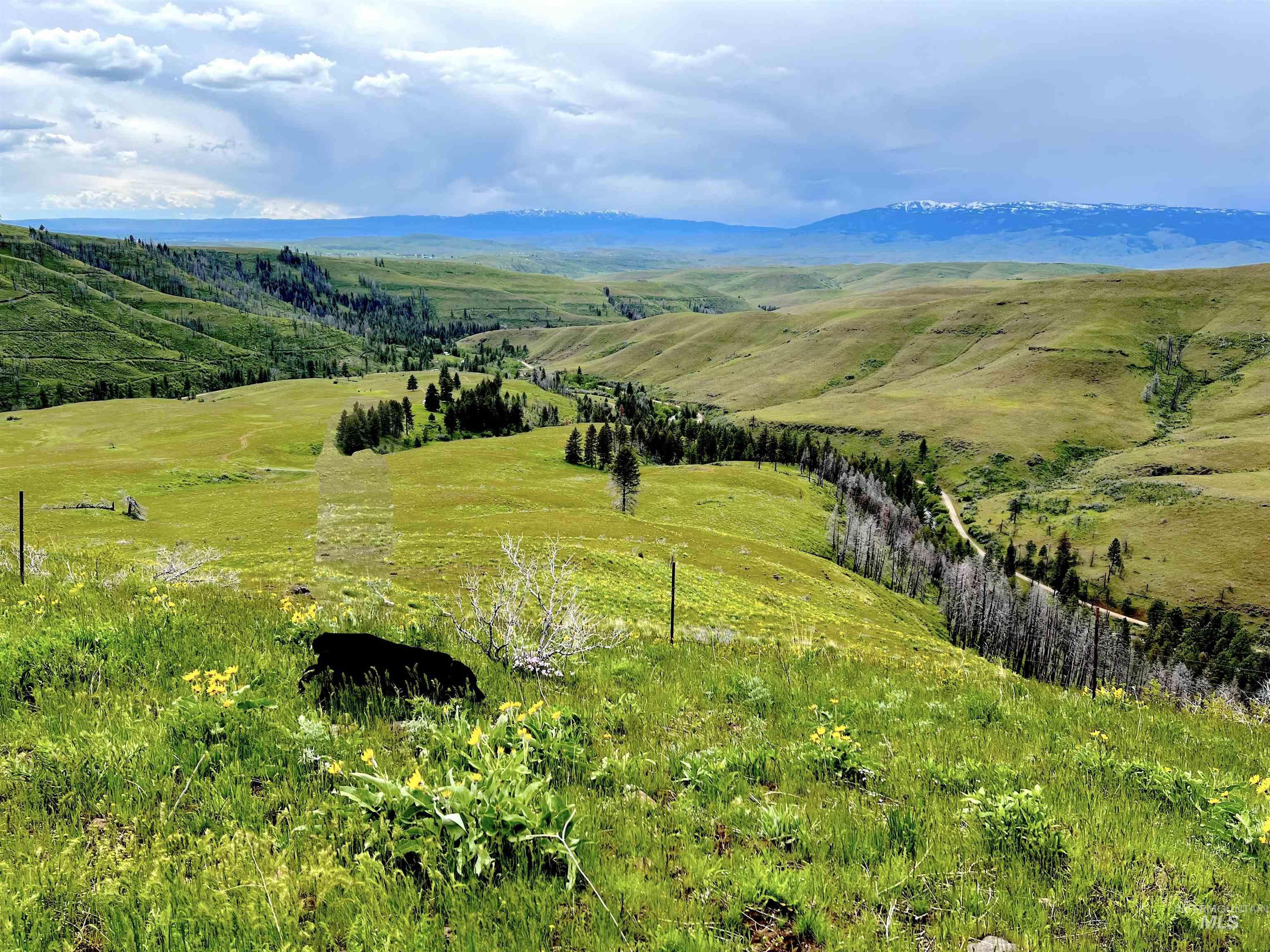 255 ac Fall Creek Road, Council, Idaho 83612, Land For Sale, Price $625,000, 98977502