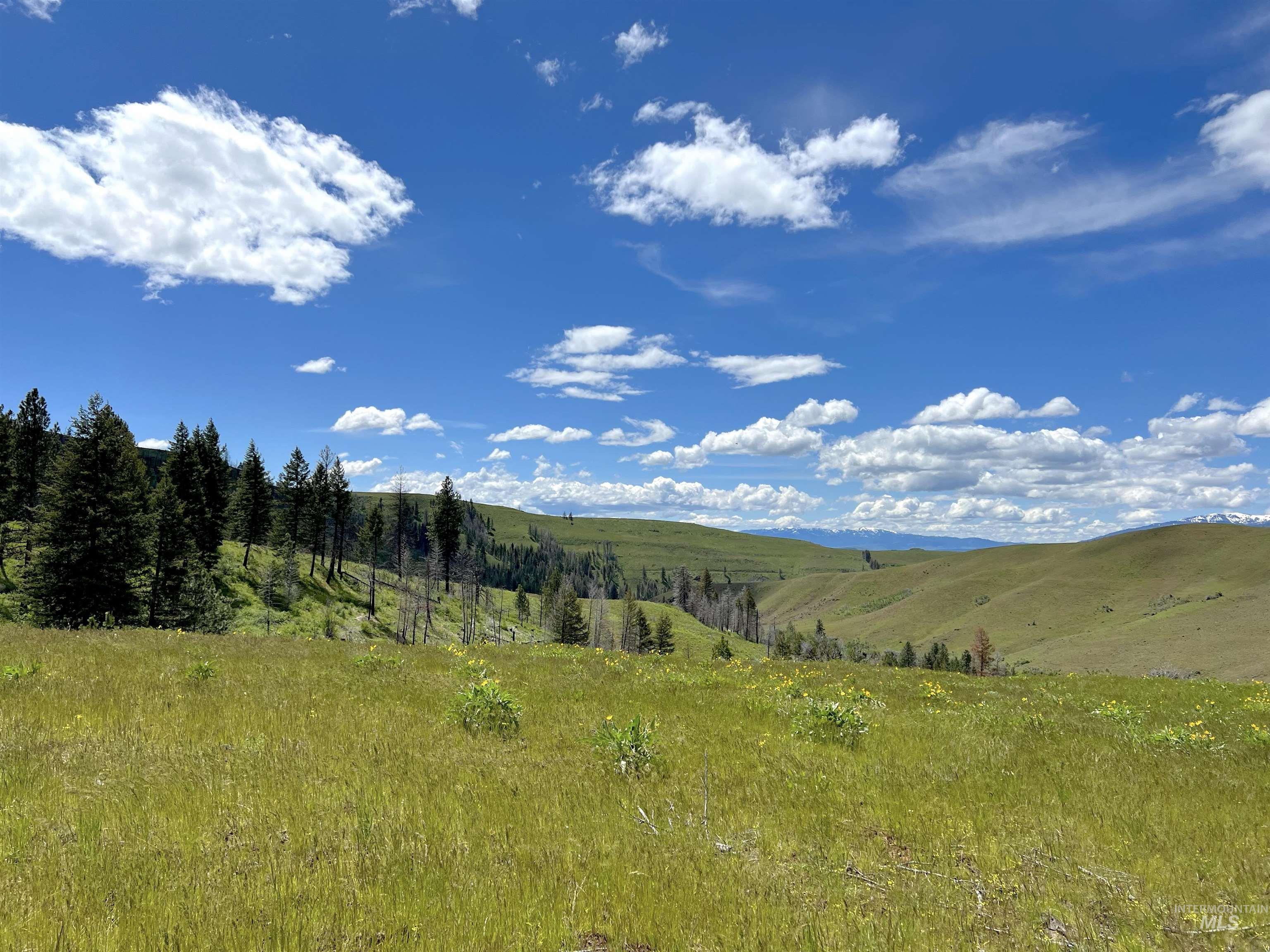 255 ac Fall Creek Road, Council, Idaho 83612, Land For Sale, Price $625,000, 98977502