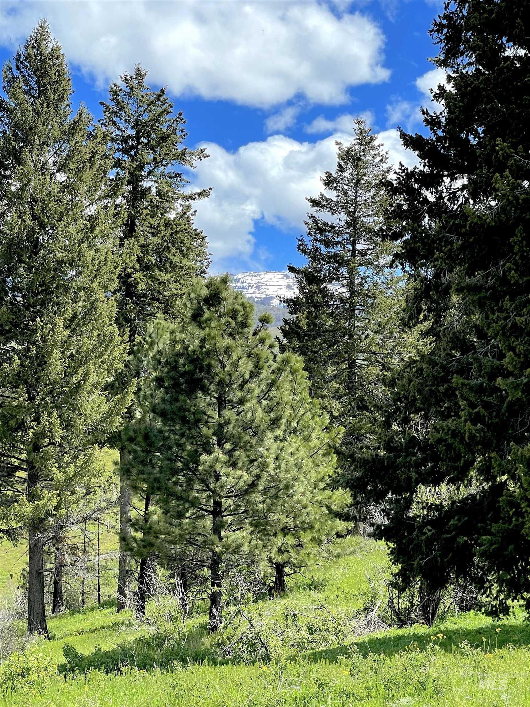 255 ac Fall Creek Road, Council, Idaho 83612, Land For Sale, Price $625,000, 98977502