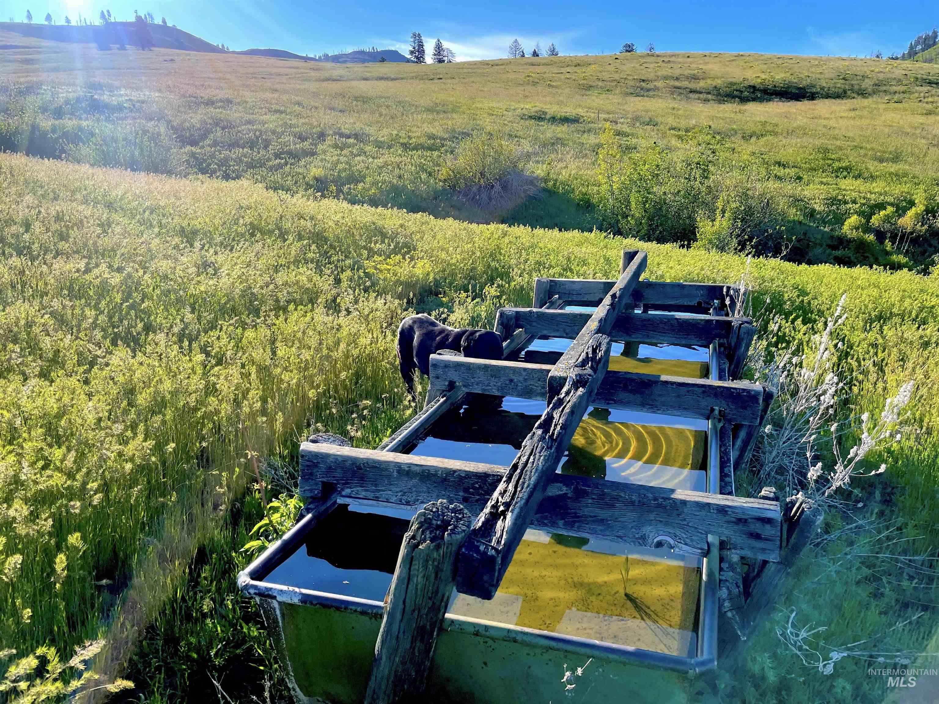 255 ac Fall Creek Road, Council, Idaho 83612, Land For Sale, Price $625,000, 98977502