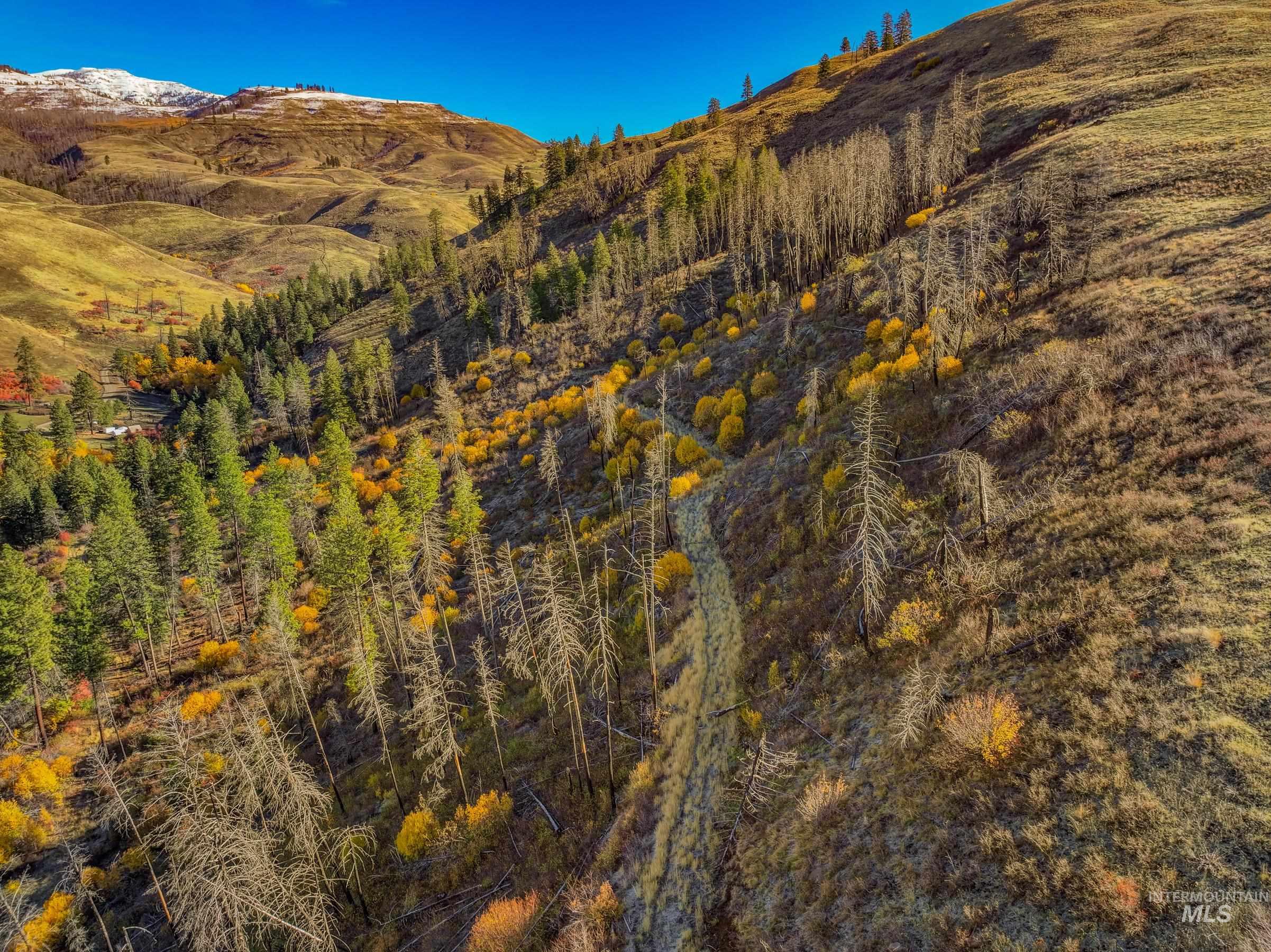 255 ac Fall Creek Road, Council, Idaho 83612, Land For Sale, Price $625,000, 98977502