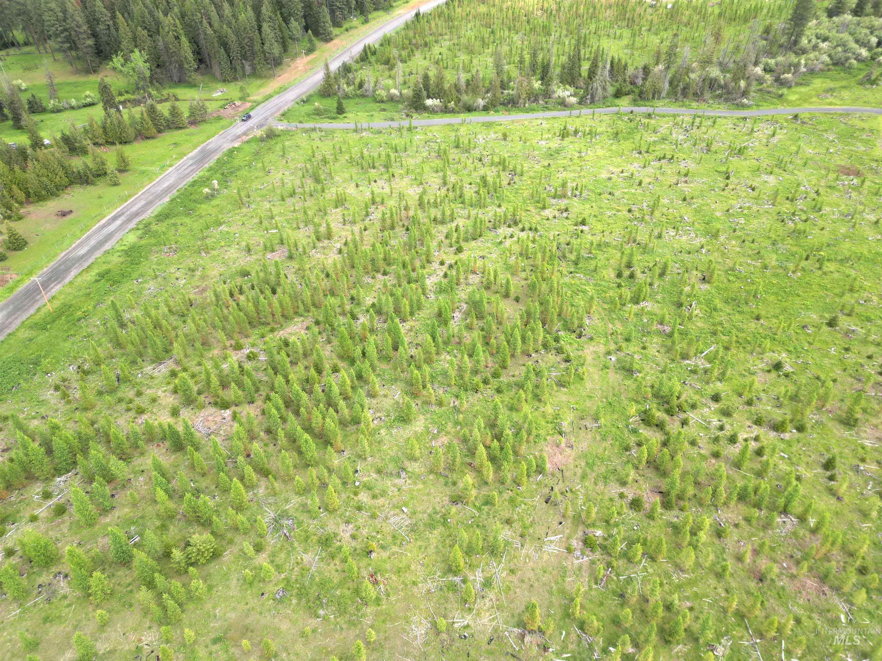 TBD Upper Fords Creek Road, Orofino, Idaho 83544, Land For Sale, Price $125,000,MLS 98977536