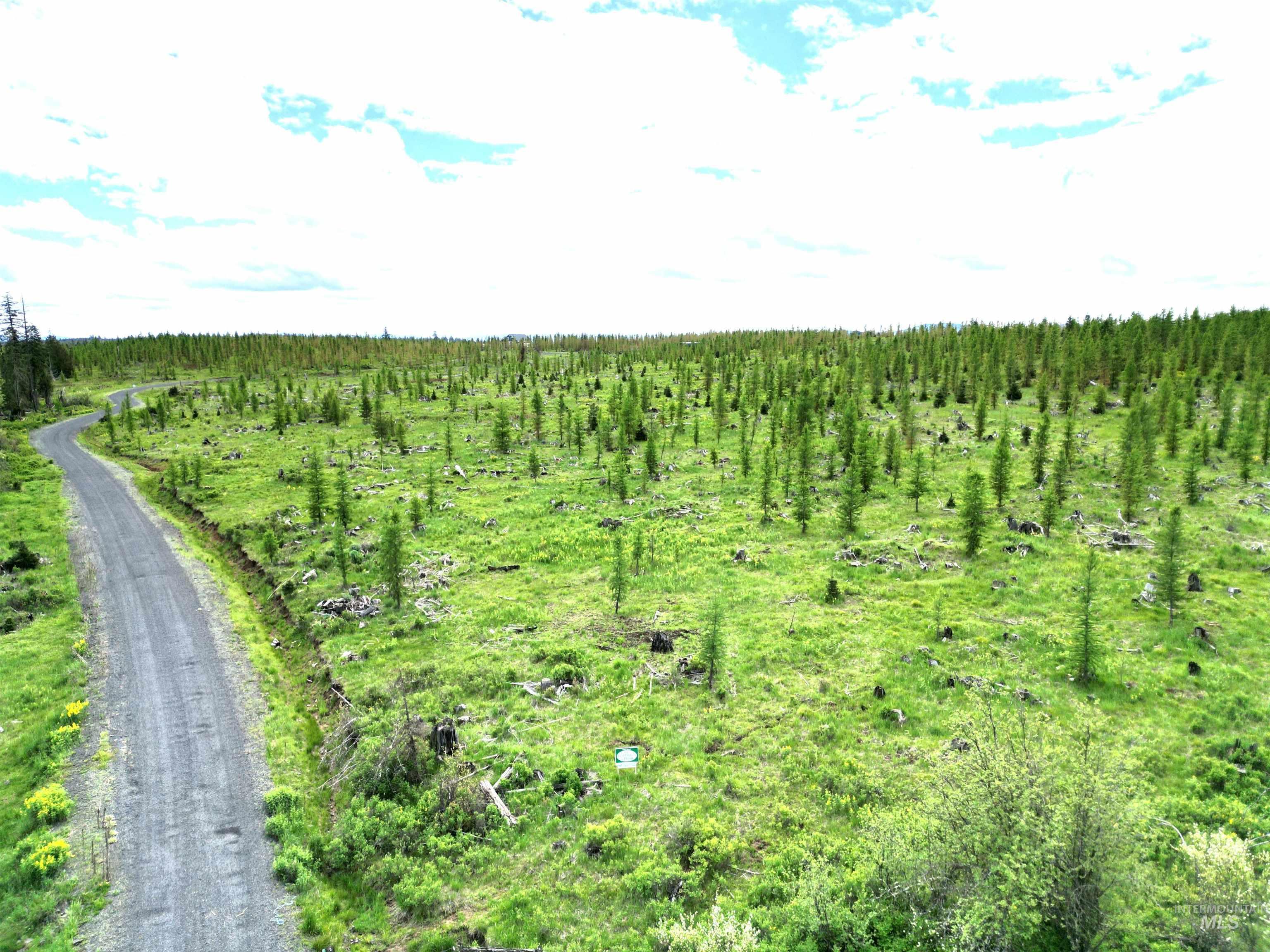 TBD Upper Fords Creek Road, Orofino, Idaho 83544, Land For Sale, Price $125,000,MLS 98977536