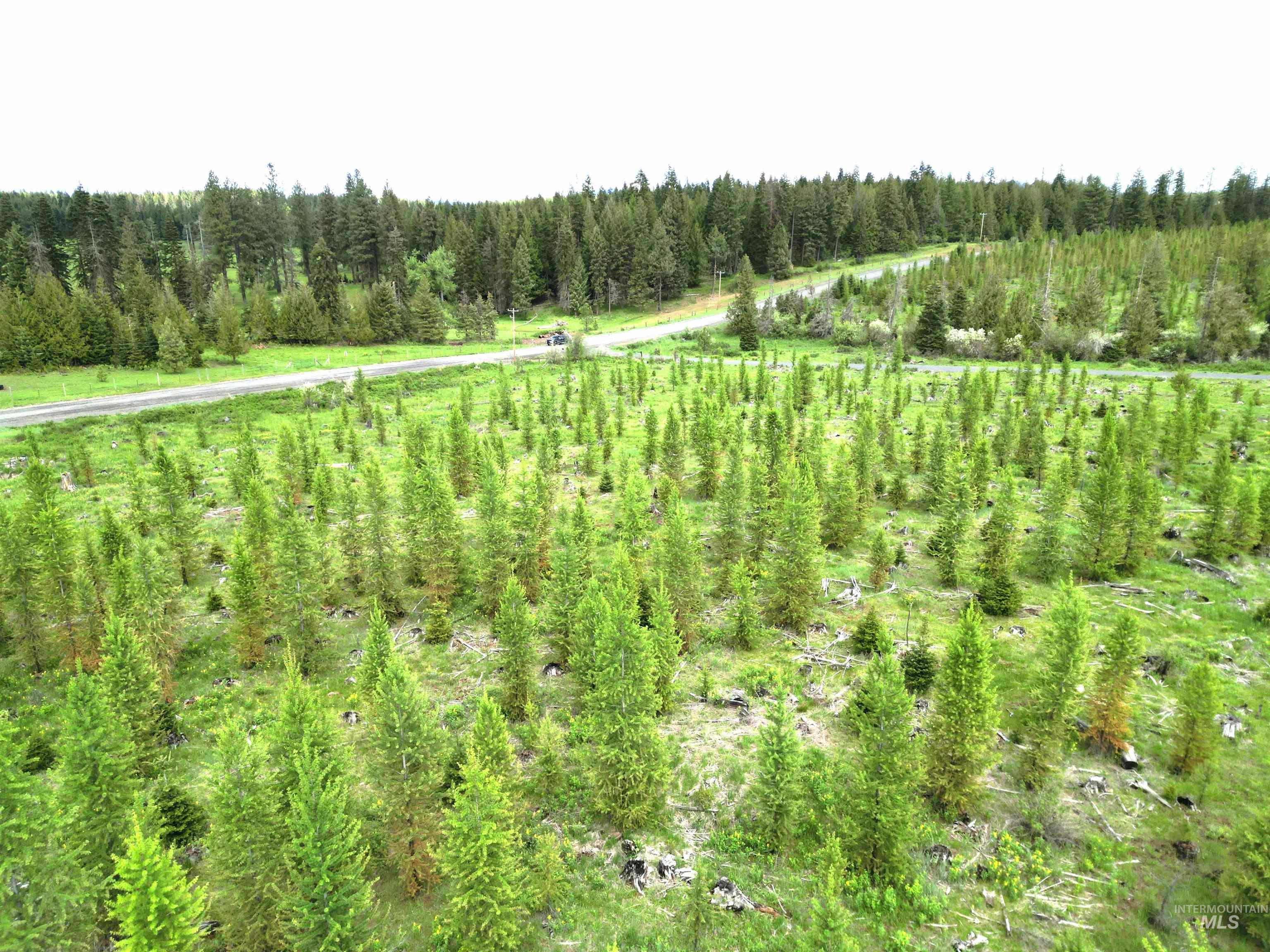 TBD Upper Fords Creek Road, Orofino, Idaho 83544, Land For Sale, Price $125,000,MLS 98977536
