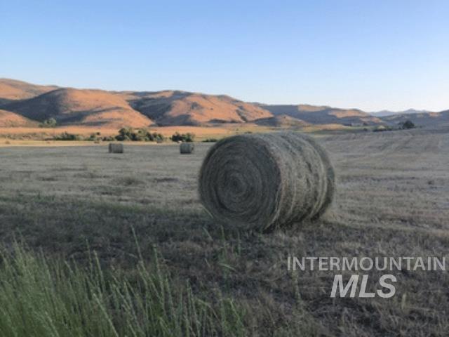 1522, 1536, 1550 Monroe Creek Rd, Weiser, Idaho 83672, Farm & Ranch For Sale, Price $1,395,000,MLS 98977547