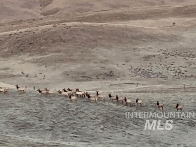 1522, 1536, 1550 Monroe Creek Rd, Weiser, Idaho 83672, Farm & Ranch For Sale, Price $1,395,000,MLS 98977547