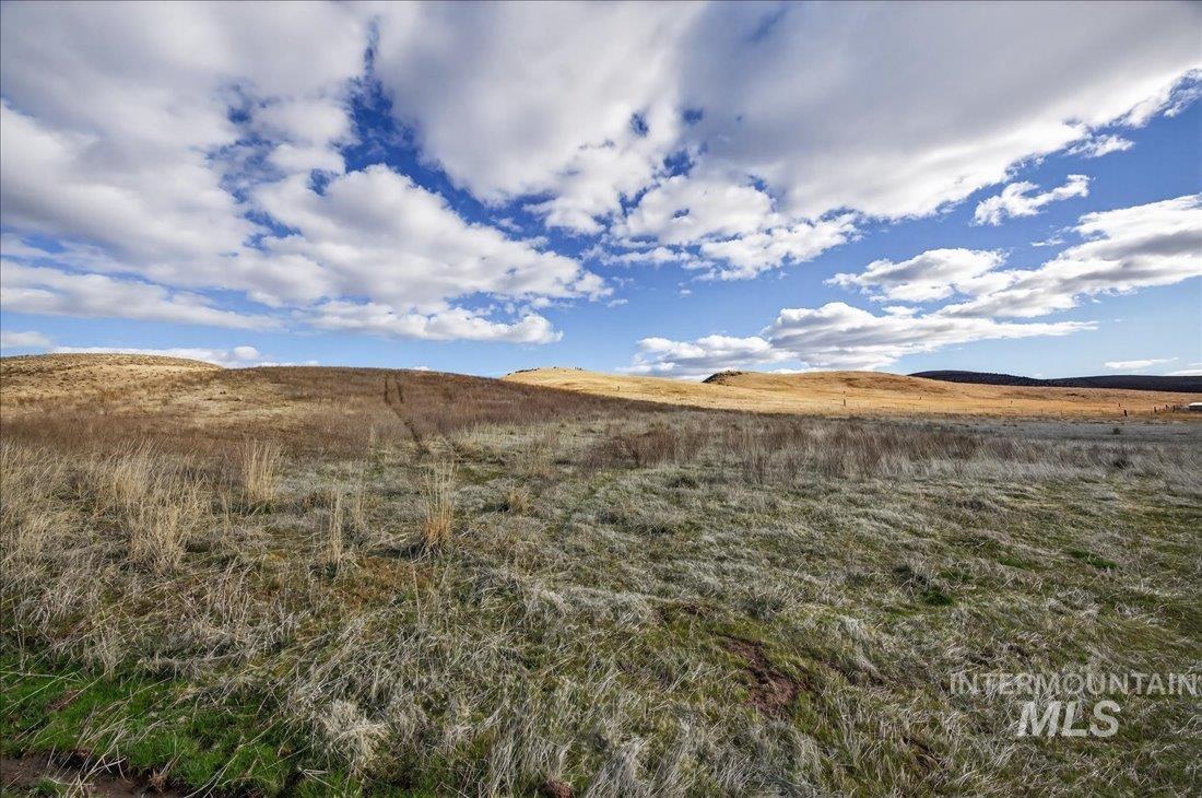 1522, 1536, 1550 Monroe Creek Rd, Weiser, Idaho 83672, Farm & Ranch For Sale, Price $1,395,000,MLS 98977547