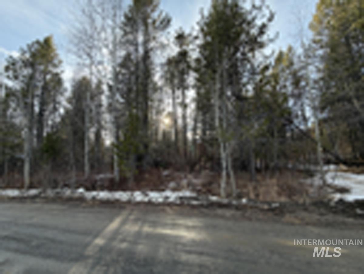 137 Lake Trail Drive, Donnelly, Idaho 83615, Land For Sale, Price $159,900, 98977567