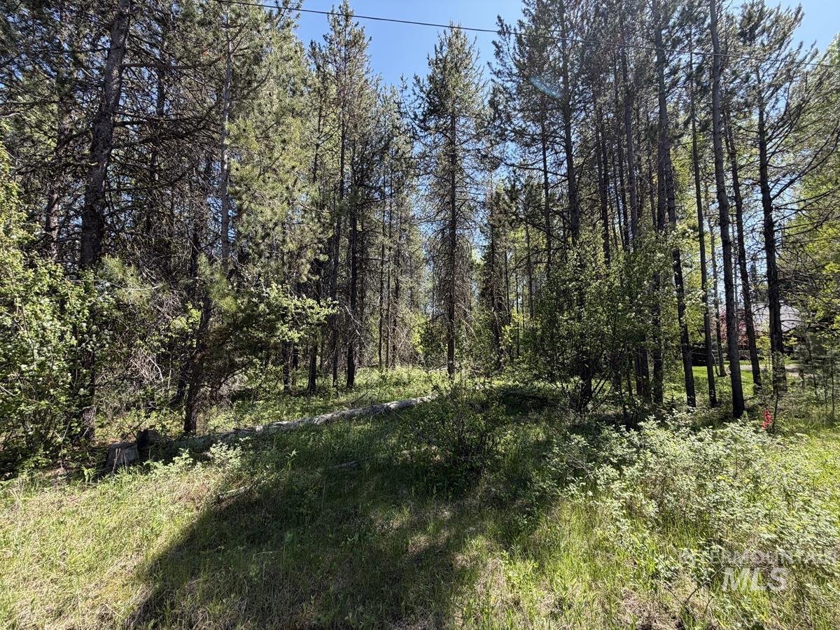 137 Lake Trail Drive, Donnelly, Idaho 83615, Land For Sale, Price $159,900, 98977567