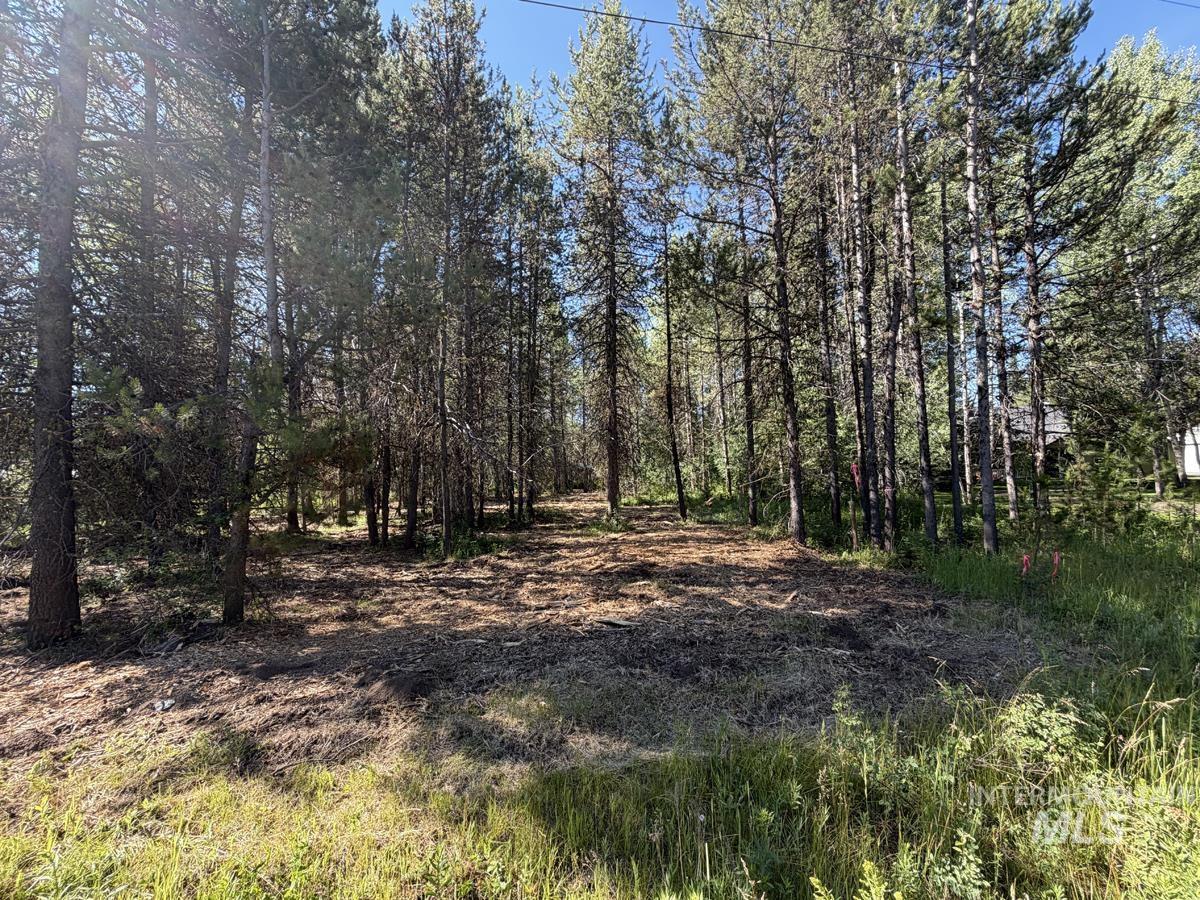 137 Lake Trail Drive, Donnelly, Idaho 83615, Land For Sale, Price $159,400,MLS 98977567