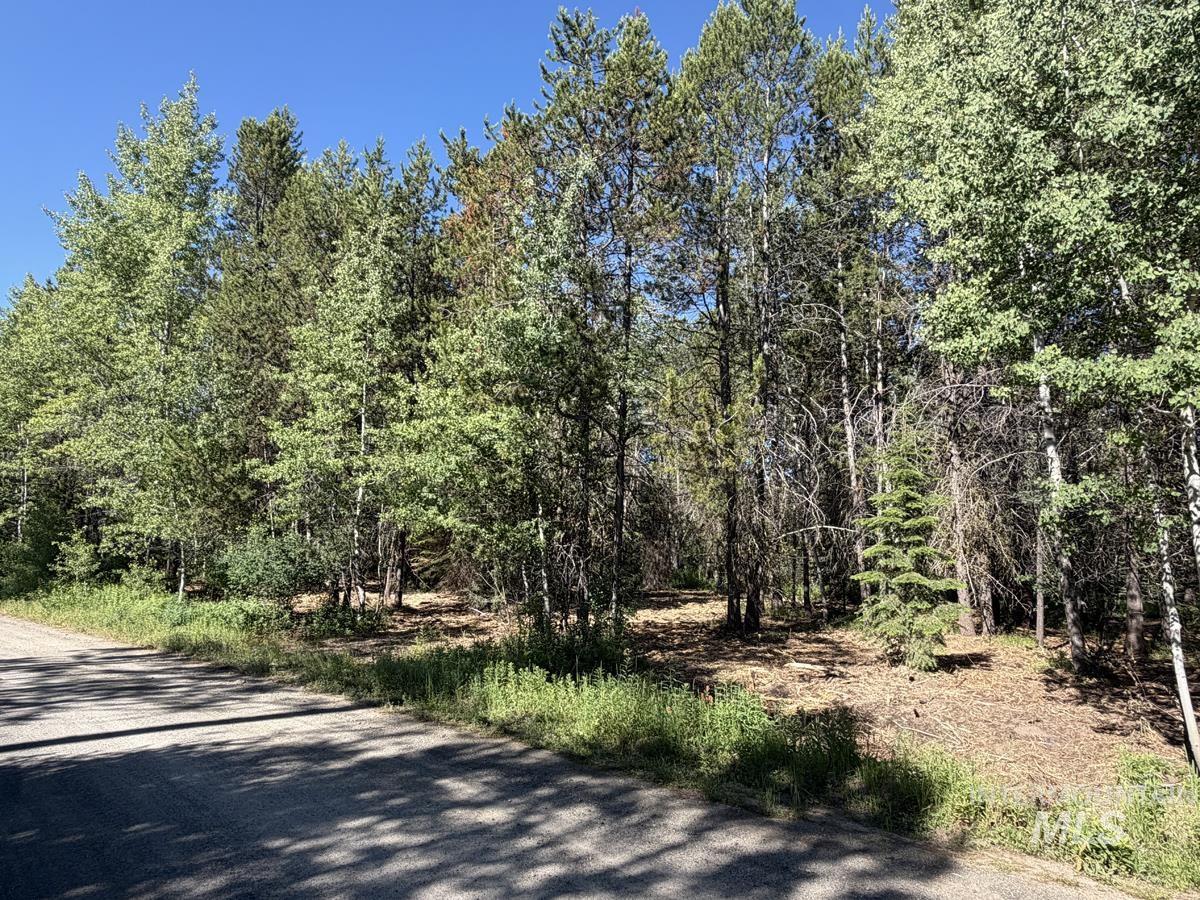 137 Lake Trail Drive, Donnelly, Idaho 83615, Land For Sale, Price $159,400,MLS 98977567