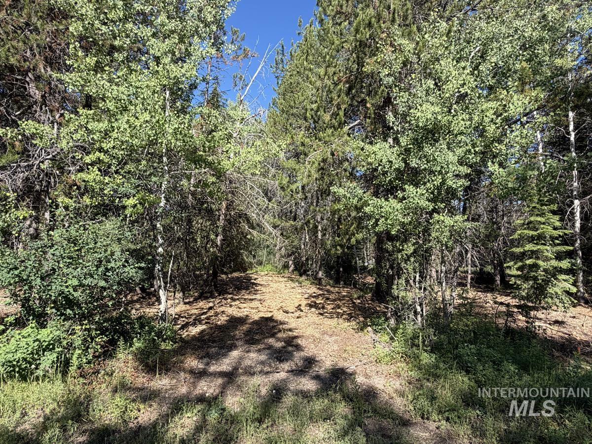 137 Lake Trail Drive, Donnelly, Idaho 83615, Land For Sale, Price $159,400,MLS 98977567