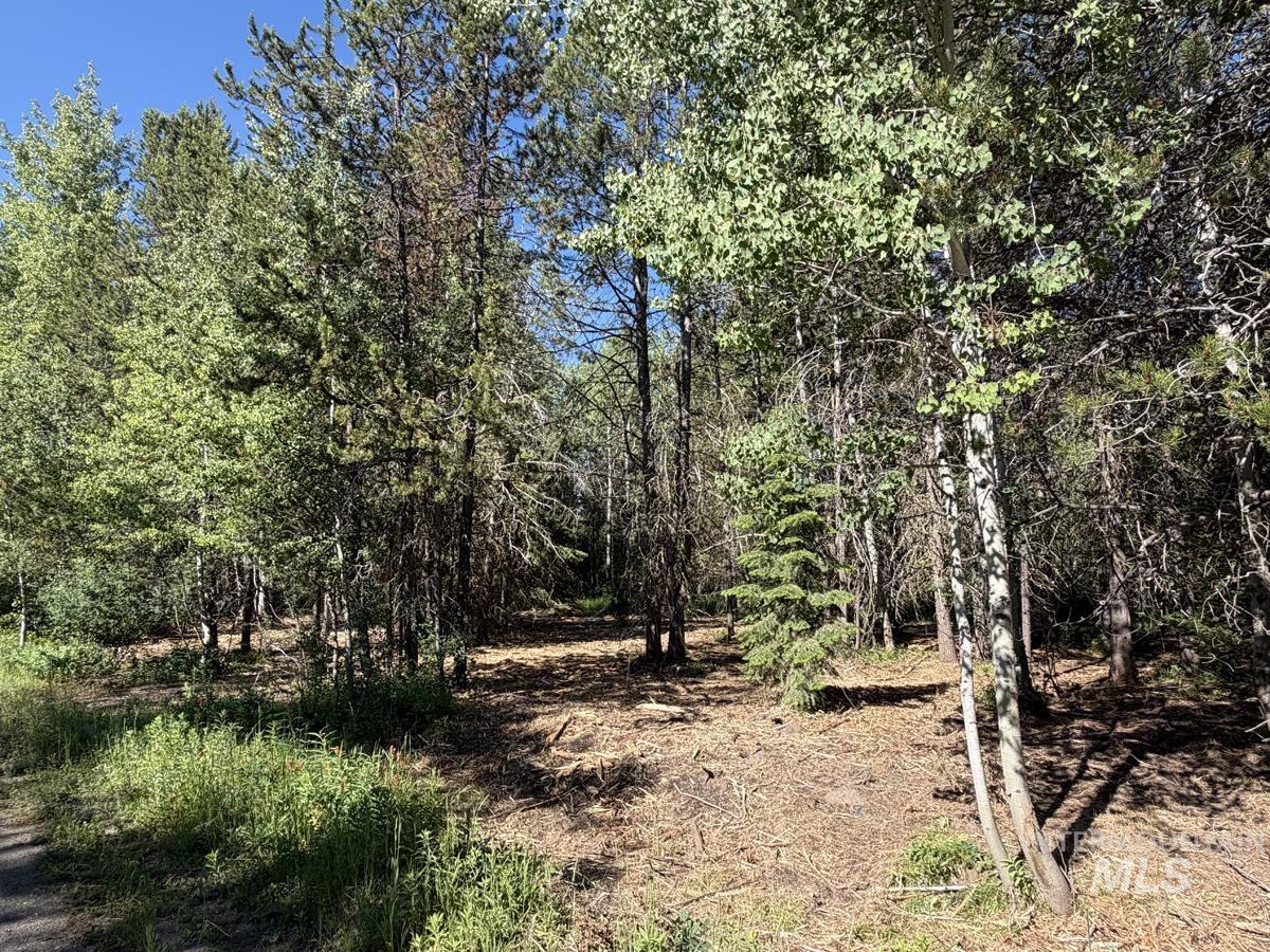137 Lake Trail Drive, Donnelly, Idaho 83615, Land For Sale, Price $159,400,MLS 98977567