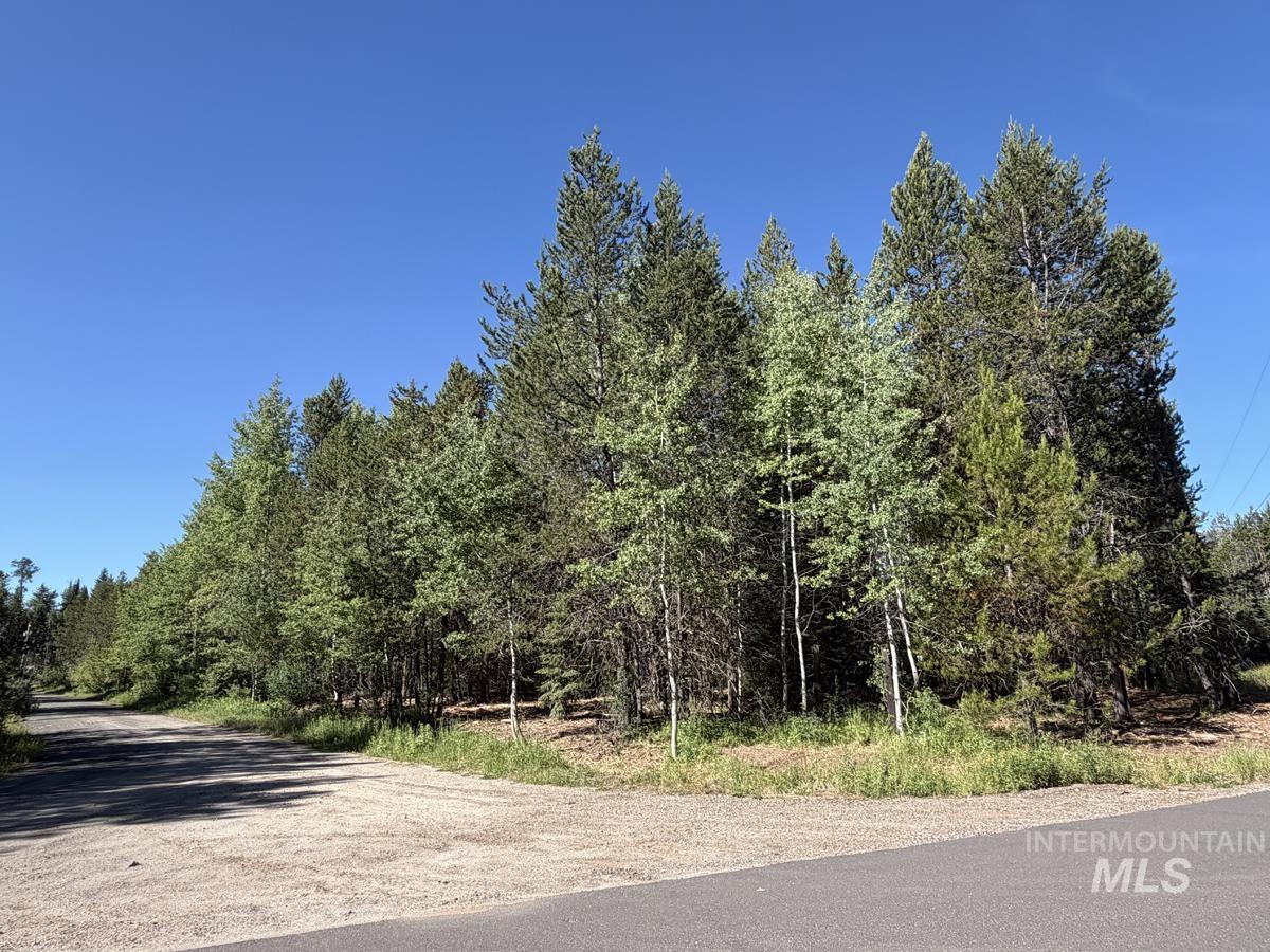 137 Lake Trail Drive, Donnelly, Idaho 83615, Land For Sale, Price $159,400,MLS 98977567