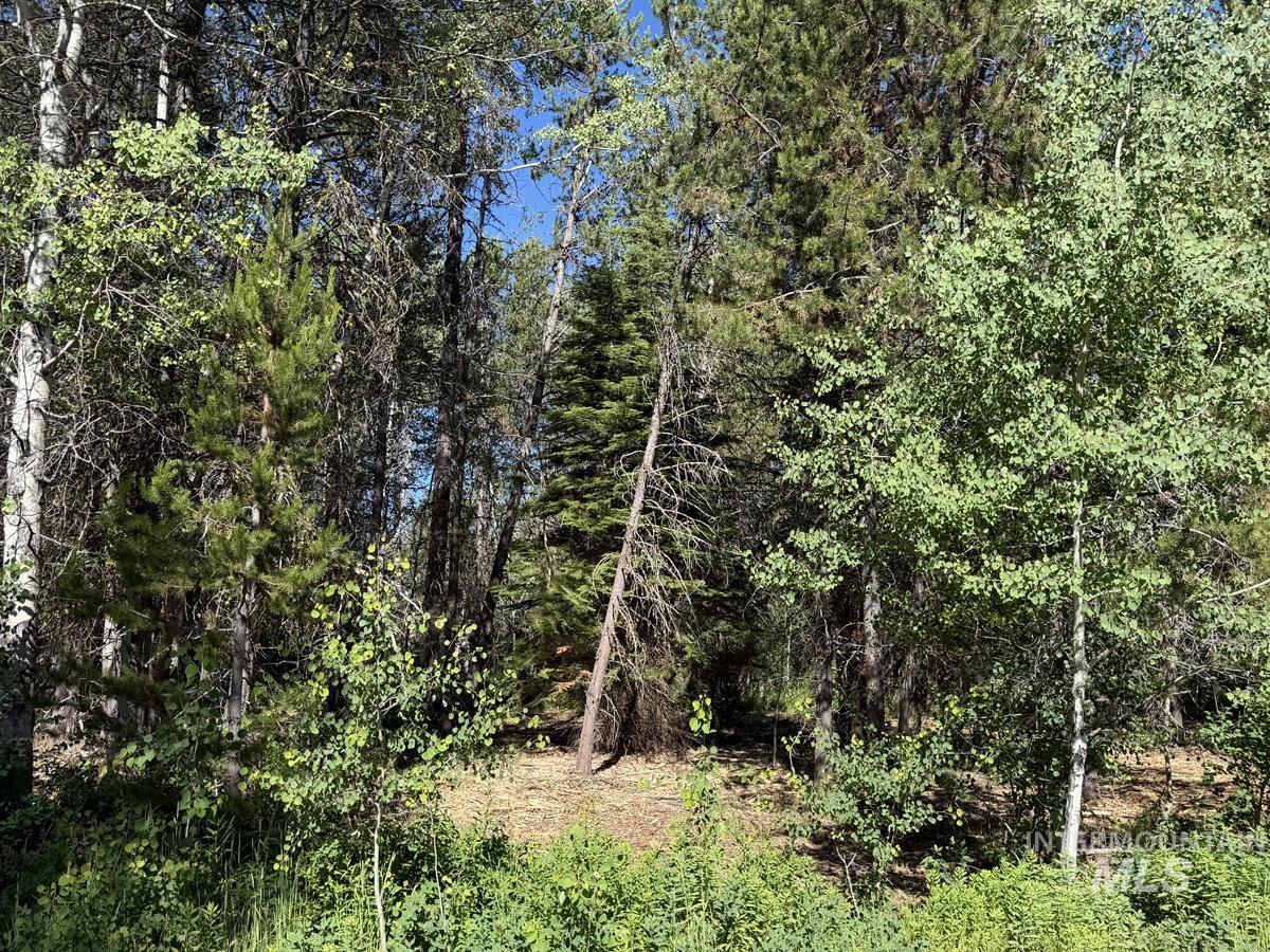 137 Lake Trail Drive, Donnelly, Idaho 83615, Land For Sale, Price $159,400,MLS 98977567