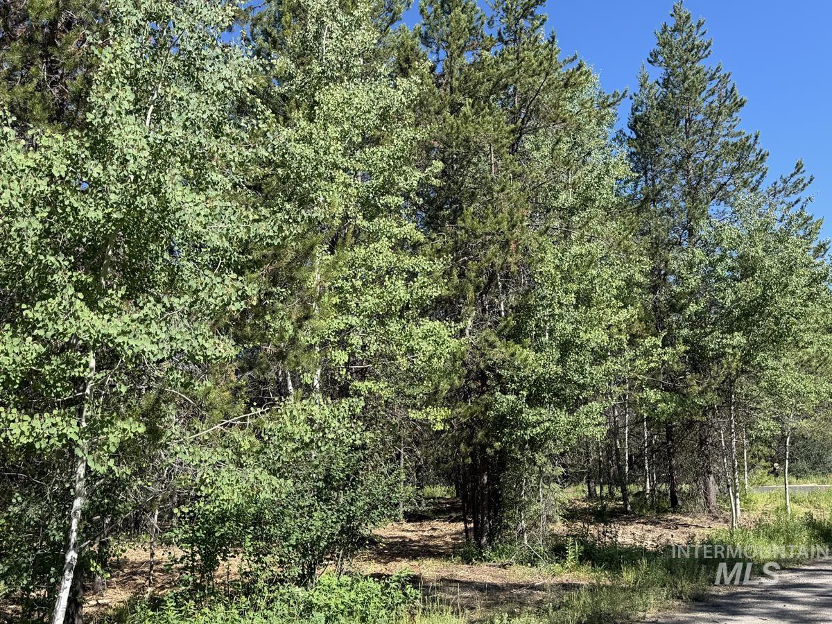 137 Lake Trail Drive, Donnelly, Idaho 83615, Land For Sale, Price $159,400,MLS 98977567