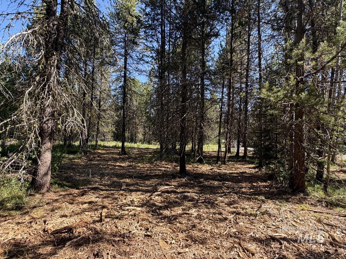 137 Lake Trail Drive, Donnelly, Idaho 83615, Land For Sale, Price $159,400,MLS 98977567