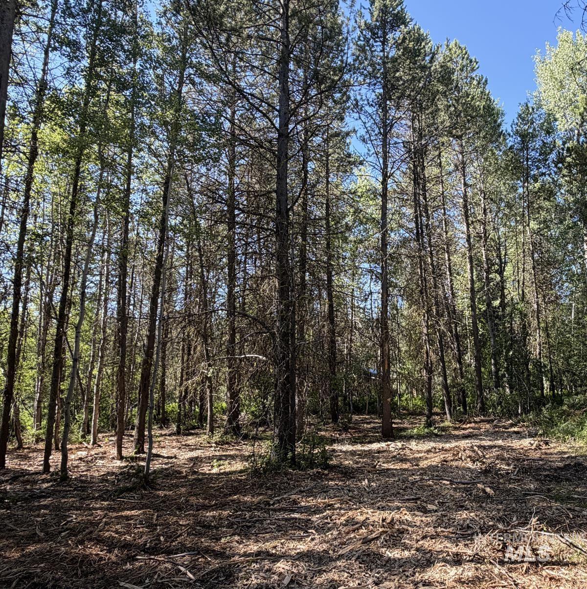 137 Lake Trail Drive, Donnelly, Idaho 83615, Land For Sale, Price $159,400,MLS 98977567