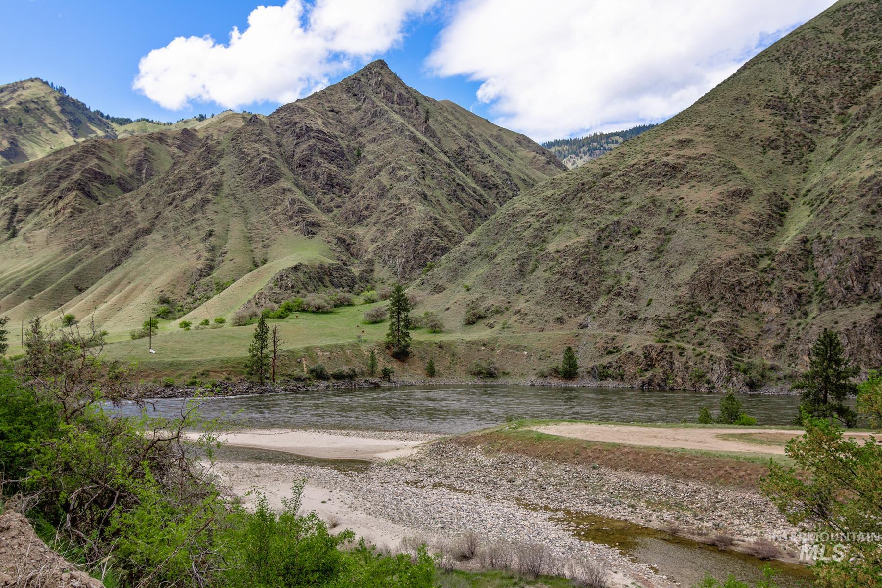 1175 Big Salmon River Rd, Riggins, Idaho 83549, 1 Bedroom, 1 Bathroom, Farm & Ranch For Sale, Price $5,925,000,MLS 98977578