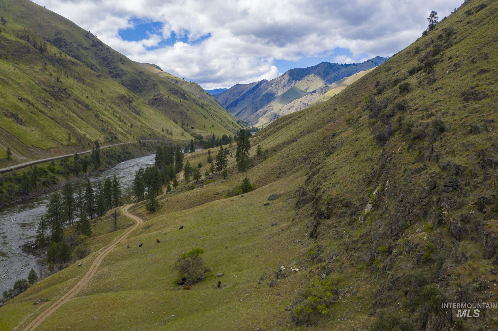 1175 Big Salmon River Rd, Riggins, Idaho 83549, 1 Bedroom, 1 Bathroom, Farm & Ranch For Sale, Price $5,925,000,MLS 98977578