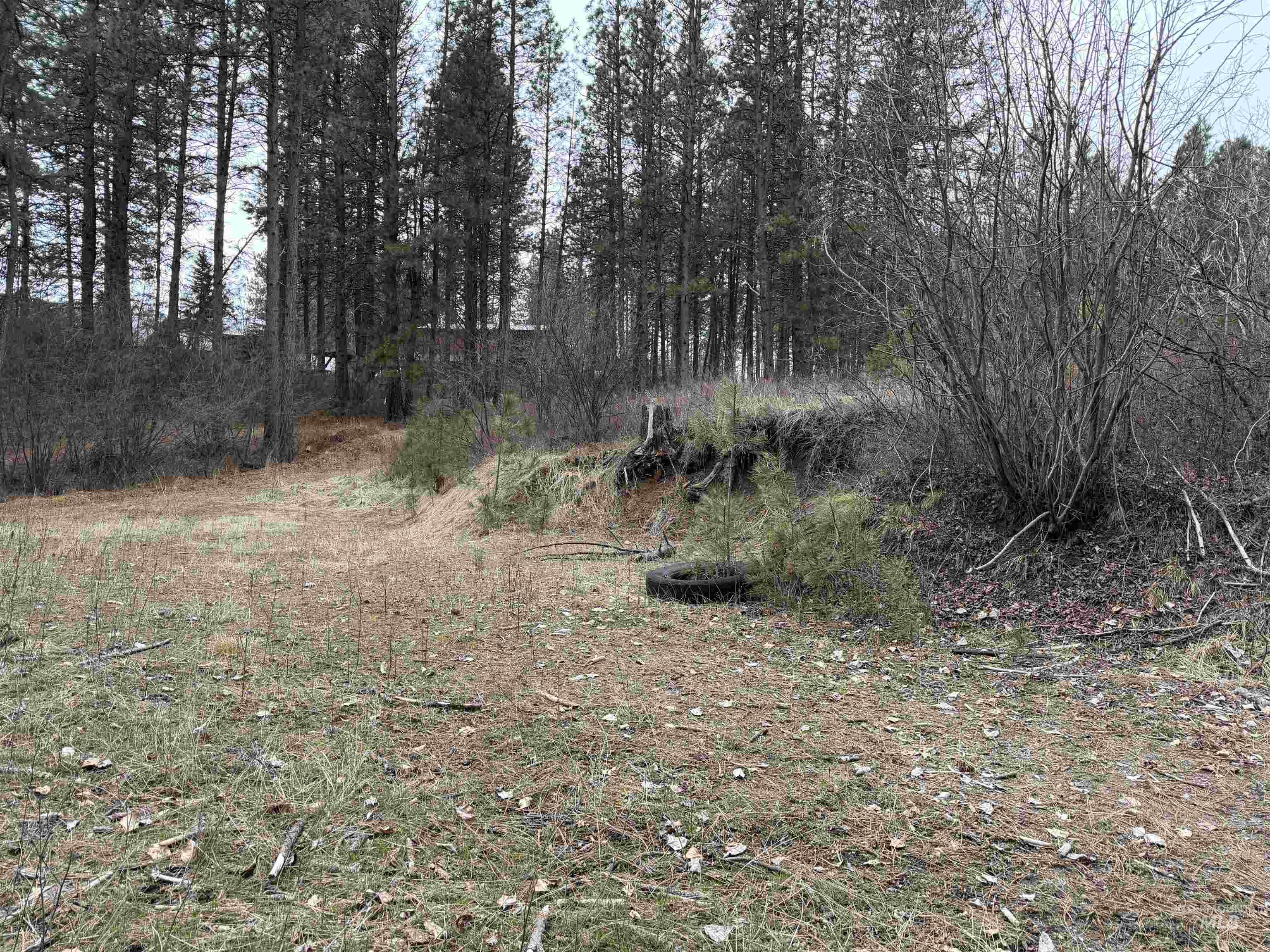 Parcel B S MIddle Fork Road, Garden Valley, Idaho 83622-9999, Land For Sale, Price $130,000, 98977584