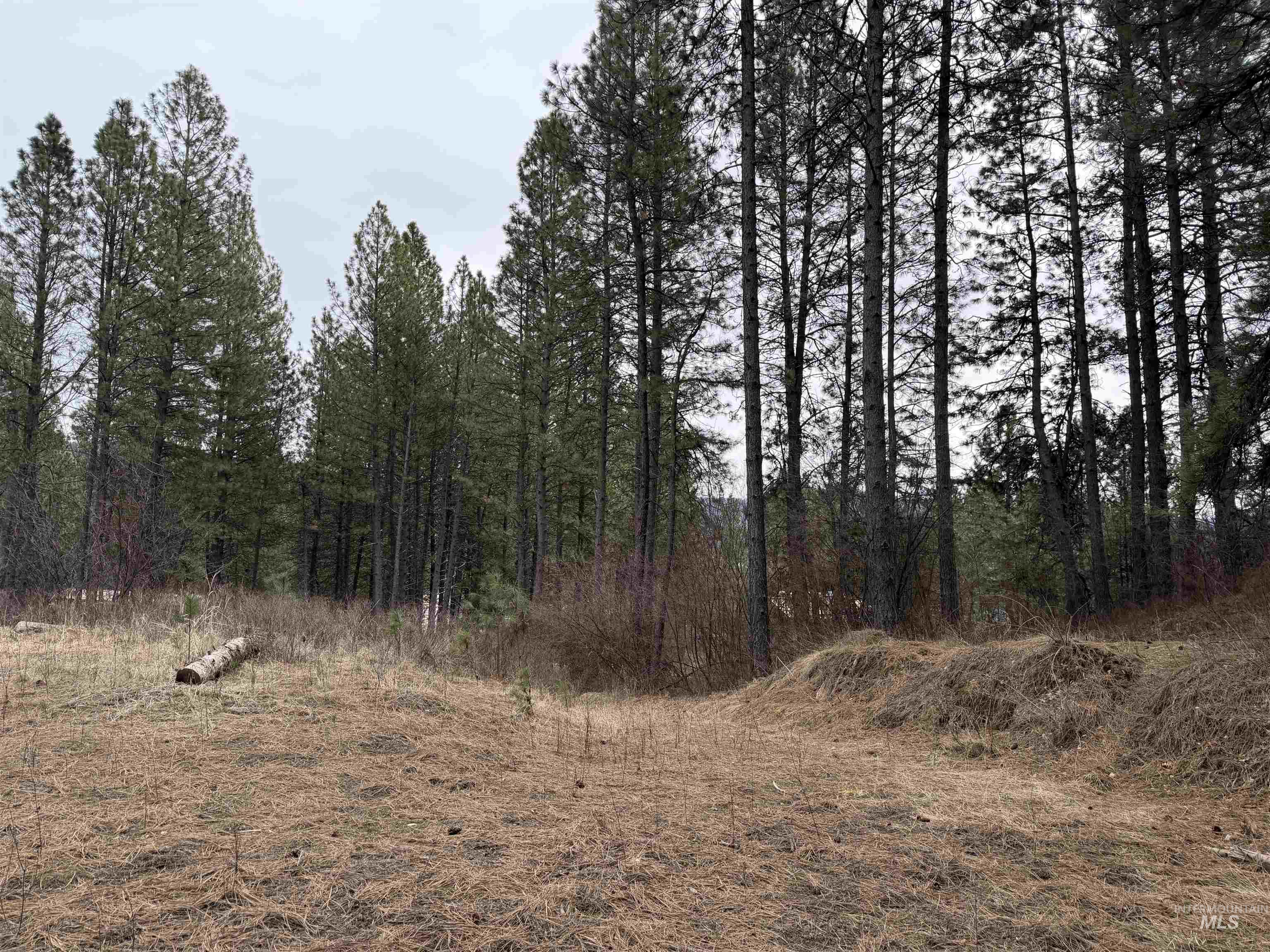 Parcel B S MIddle Fork Road, Garden Valley, Idaho 83622-9999, Land For Sale, Price $130,000, 98977584