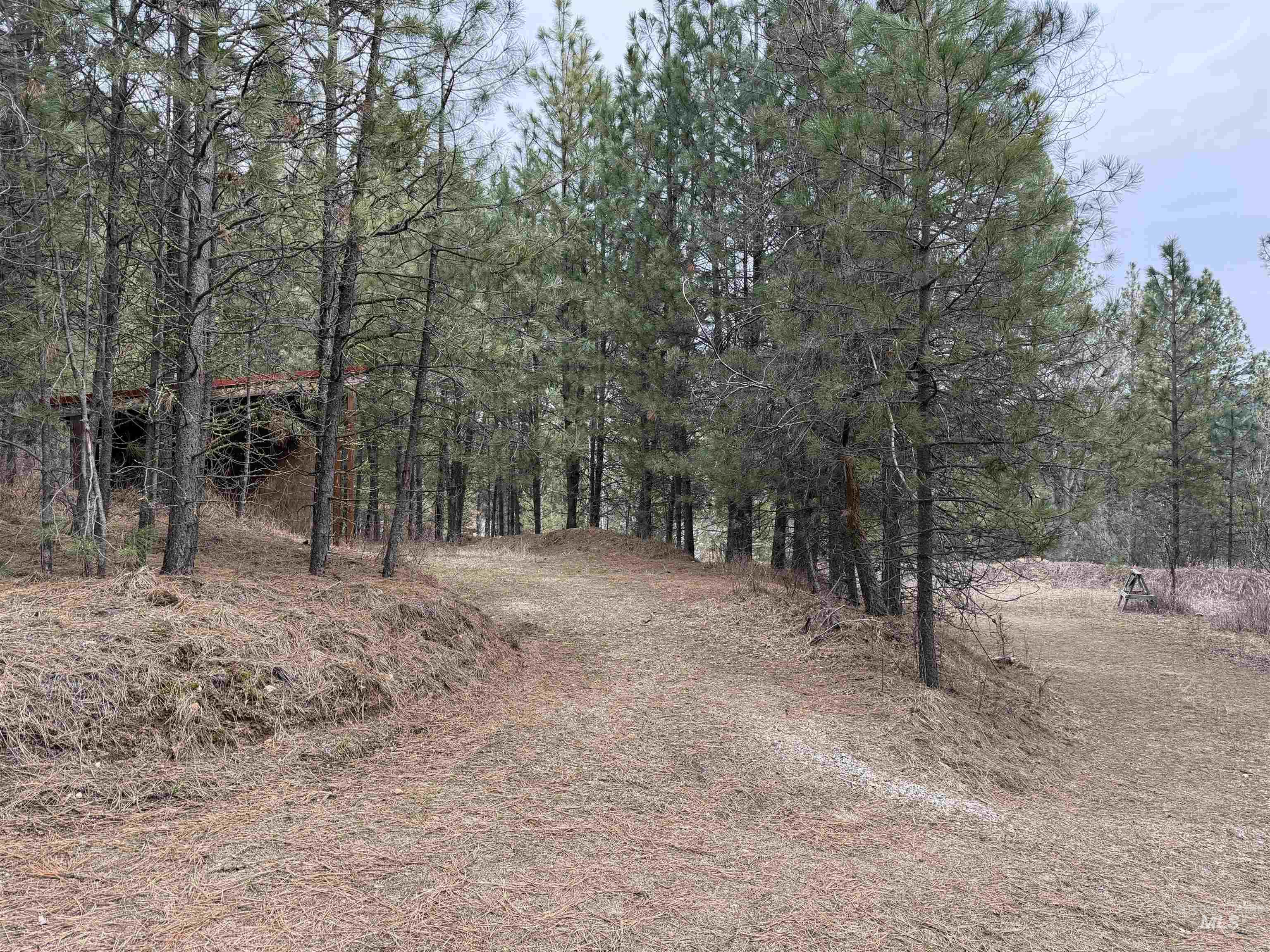 Parcel B S MIddle Fork Road, Garden Valley, Idaho 83622-9999, Land For Sale, Price $130,000, 98977584