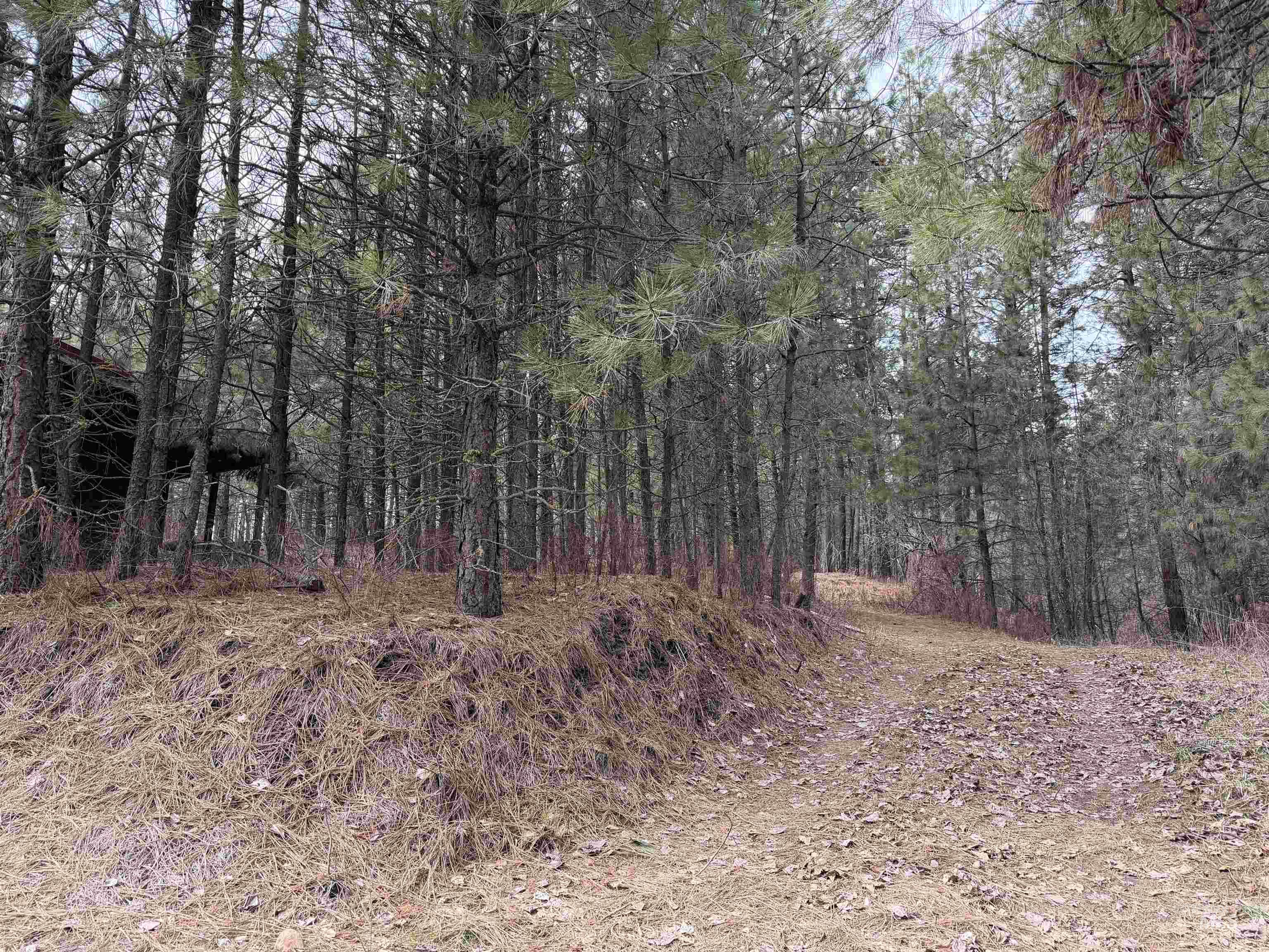 Parcel B S MIddle Fork Road, Garden Valley, Idaho 83622-9999, Land For Sale, Price $130,000, 98977584