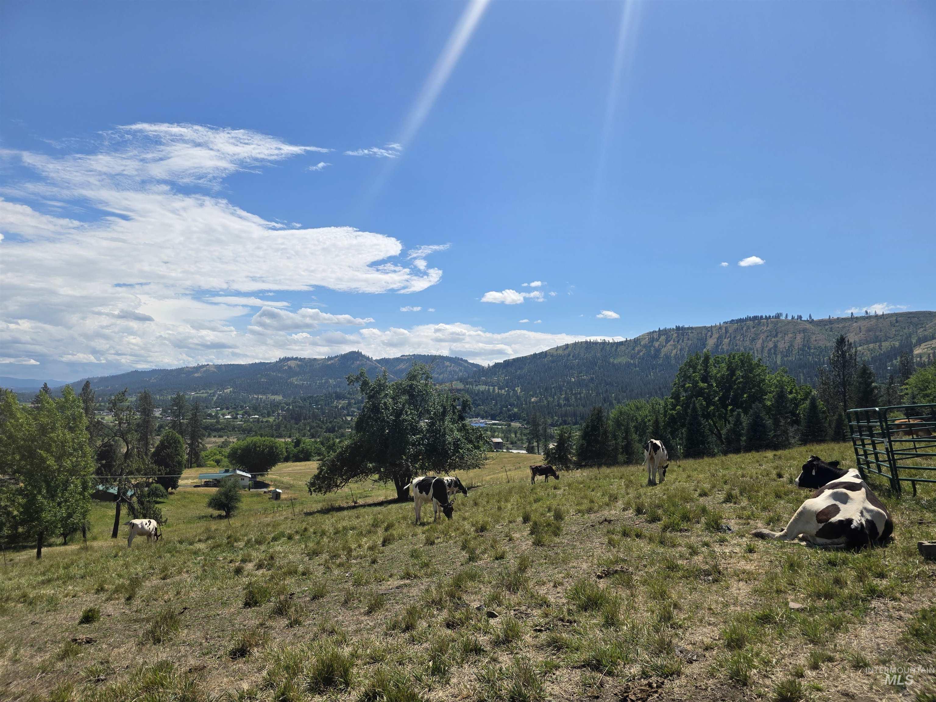 367 Woodland Rd, Kamiah, Idaho 83536, 5 Bedrooms, 2 Bathrooms, Residential For Sale, Price $795,000, 98977587
