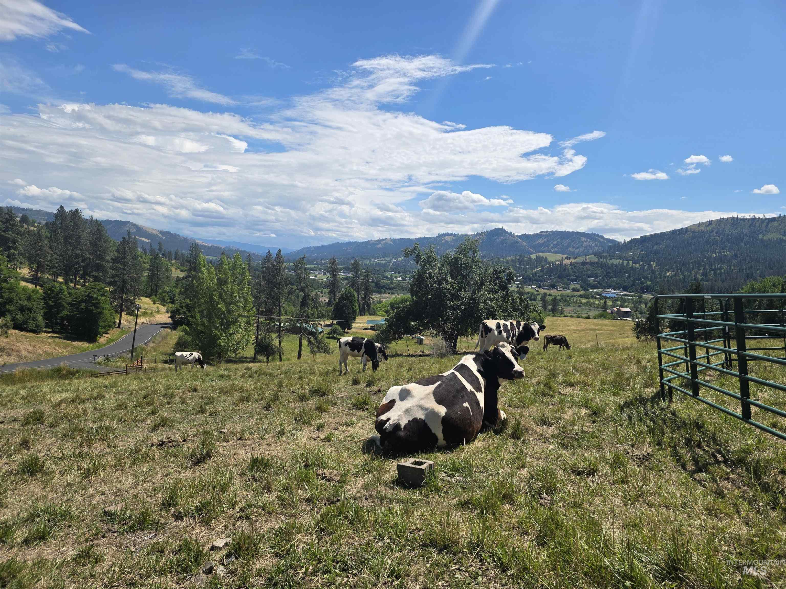 367 Woodland Rd, Kamiah, Idaho 83536, 5 Bedrooms, 2 Bathrooms, Residential For Sale, Price $795,000, 98977587