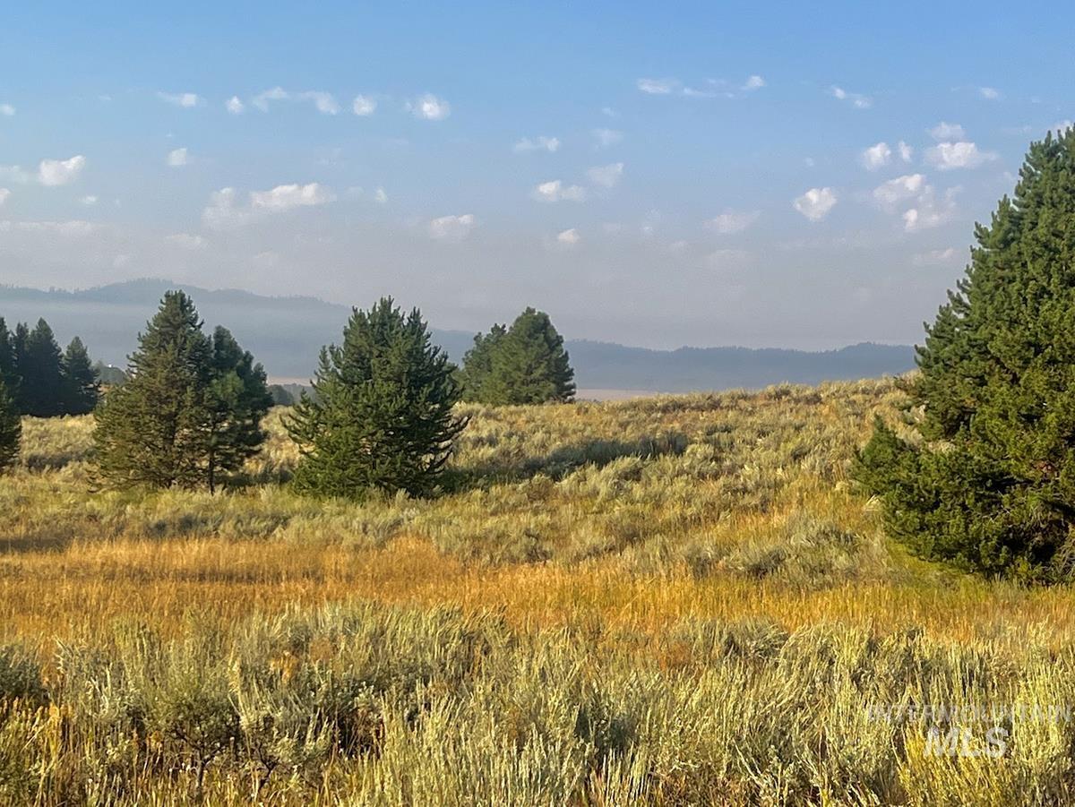 10342 Gamann Drive, Cascade, Idaho 83611, Land For Sale, Price $174,900, 98977622