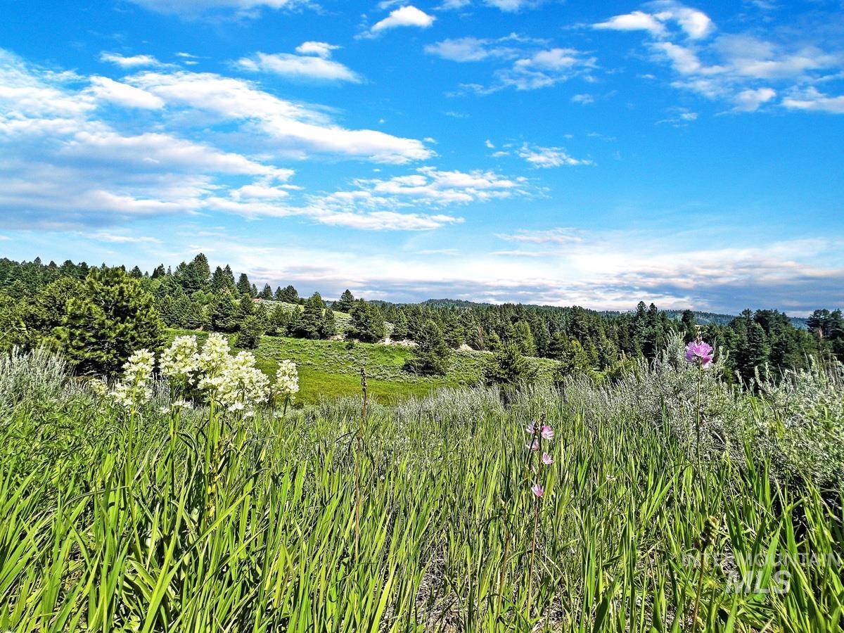 10342 Gamann Drive, Cascade, Idaho 83611, Land For Sale, Price $174,900, 98977622