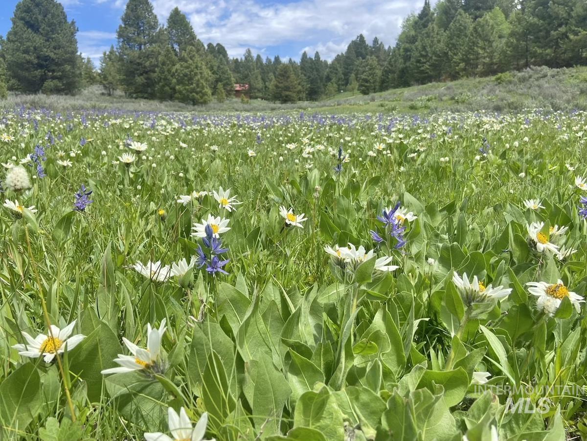 10342 Gamann Drive, Cascade, Idaho 83611, Land For Sale, Price $174,900, 98977622