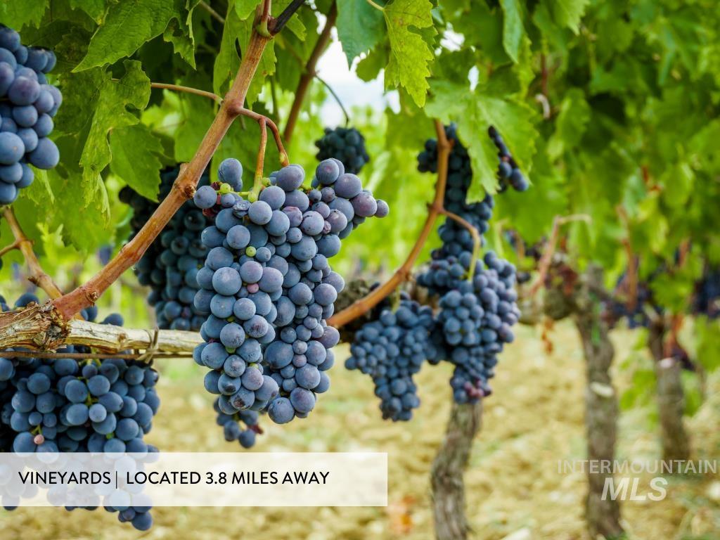 26757 Morris Pl., Wilder, Idaho 83676, 3 Bedrooms, 2 Bathrooms, Residential For Sale, Price $615,000,MLS 98977630