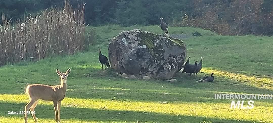 112 Three Forks Rd, Kamiah, Idaho 83536, 3 Bedrooms, 3 Bathrooms, Residential For Sale, Price $985,000,MLS 98977646