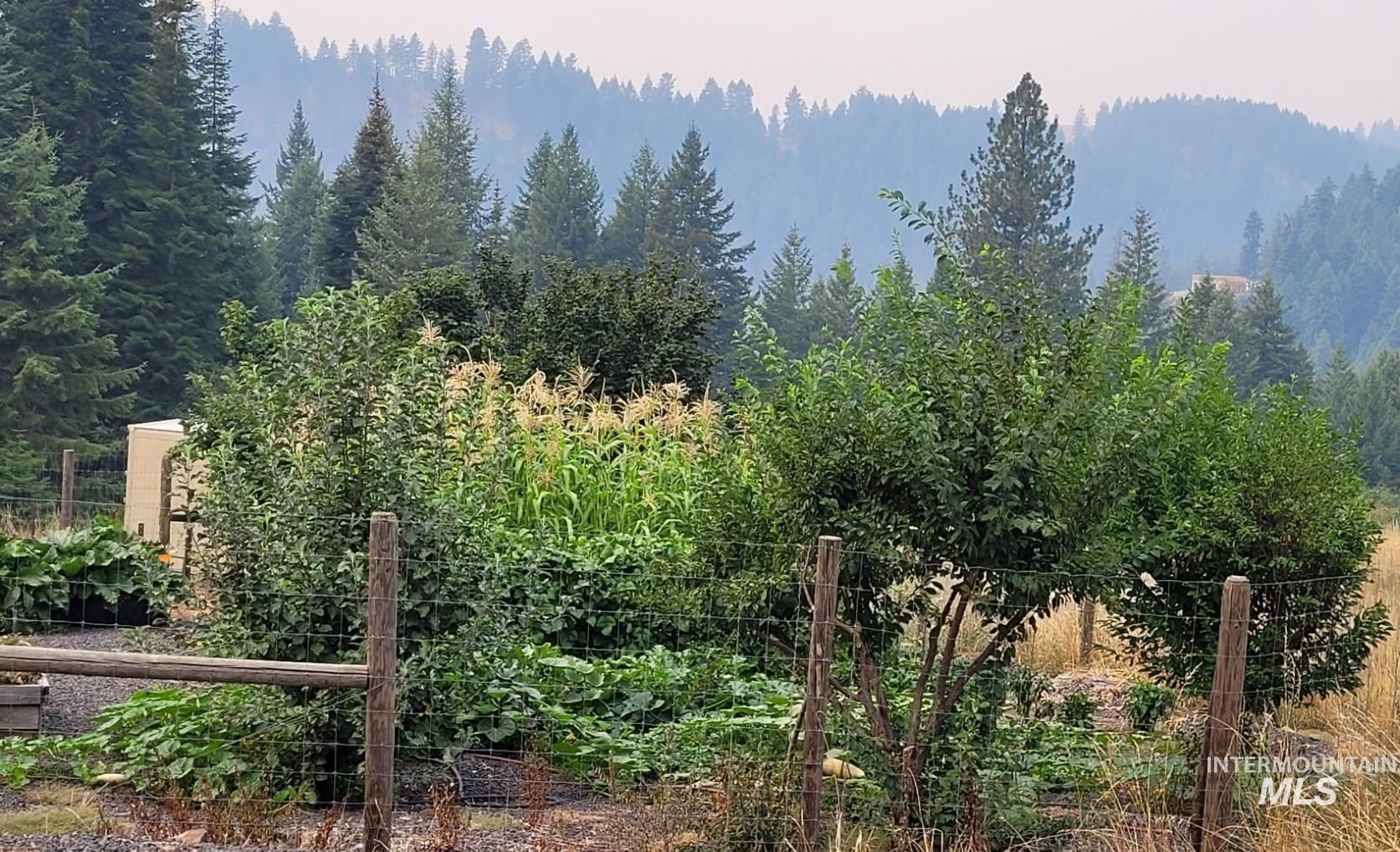 112 Three Forks Rd, Kamiah, Idaho 83536, 3 Bedrooms, 3 Bathrooms, Residential For Sale, Price $985,000,MLS 98977646