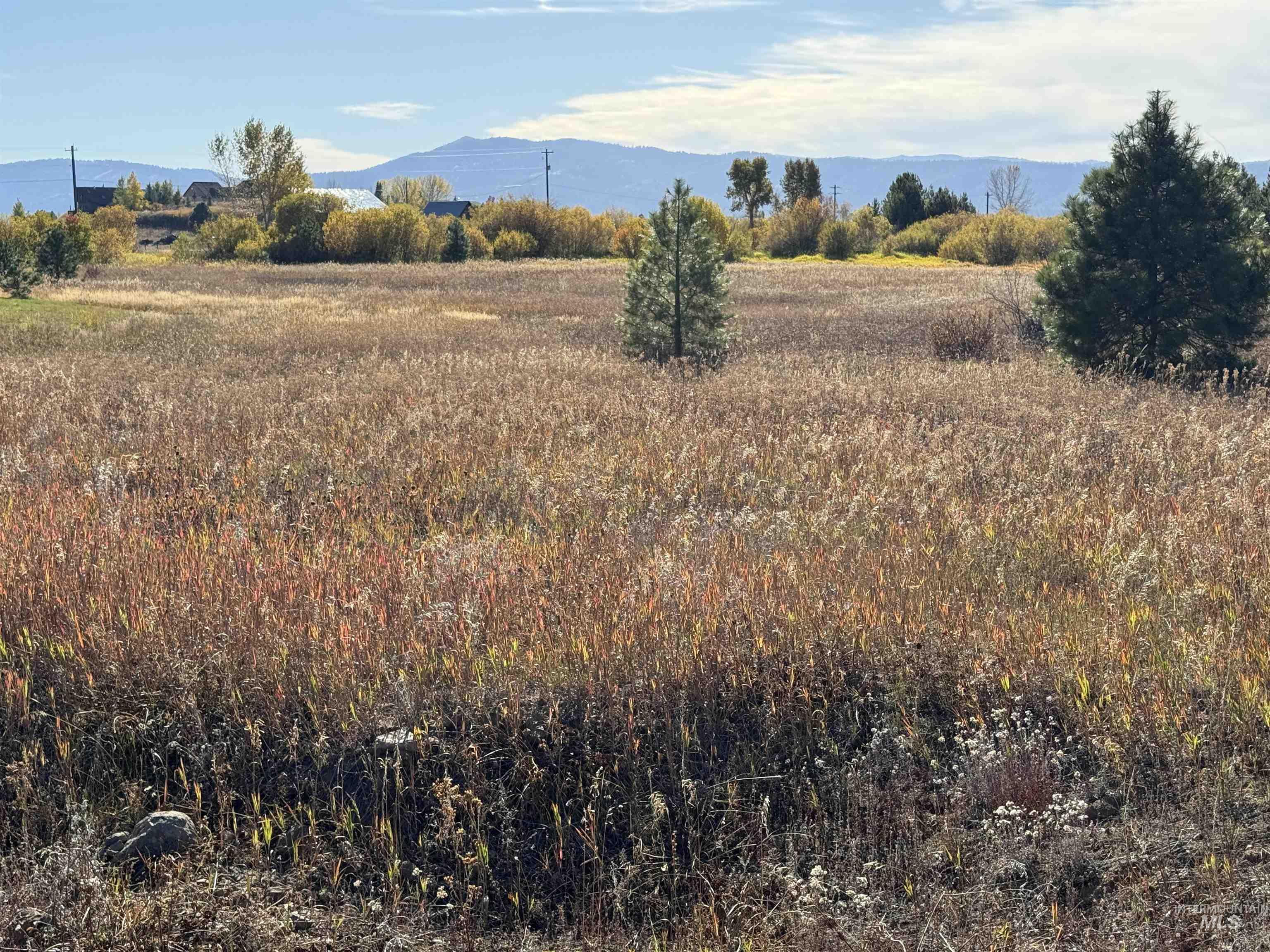 13 Michelle Place, McCall, Idaho 83638, Land For Sale, Price $240,000, 98977649