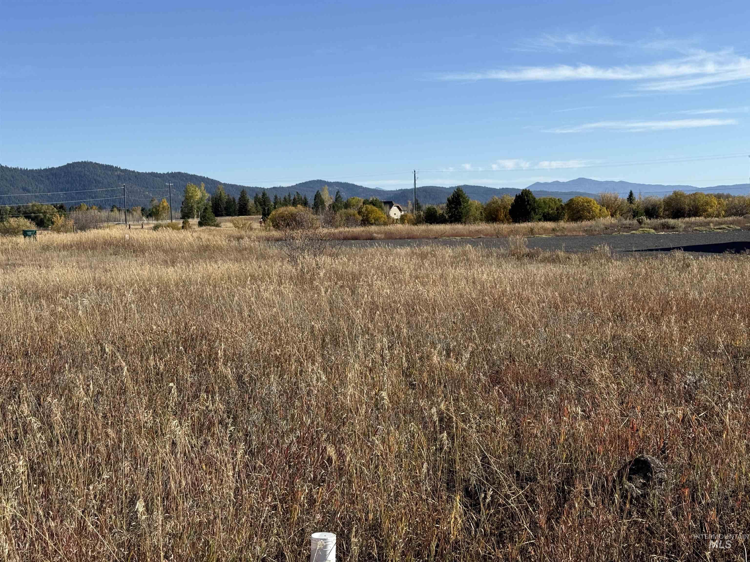 13 Michelle Place, McCall, Idaho 83638, Land For Sale, Price $240,000, 98977649