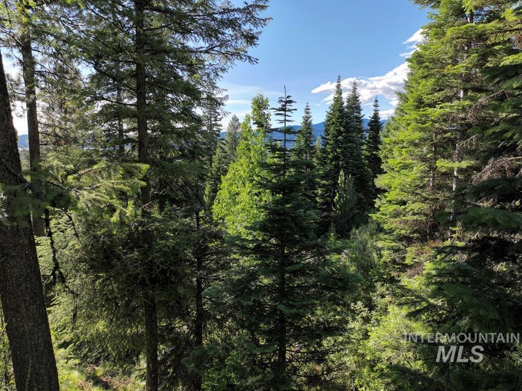 1615 Majestic View Dr., McCall, Idaho 83638, Land For Sale, Price $300,000, 98977650