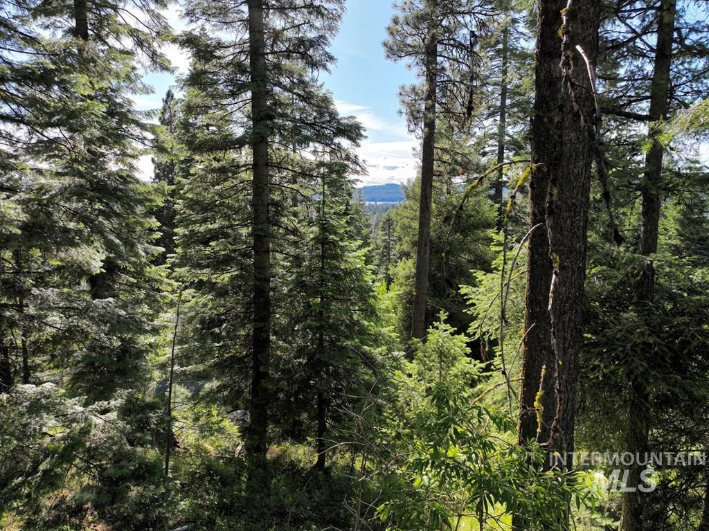 1615 Majestic View Dr., McCall, Idaho 83638, Land For Sale, Price $300,000, 98977650