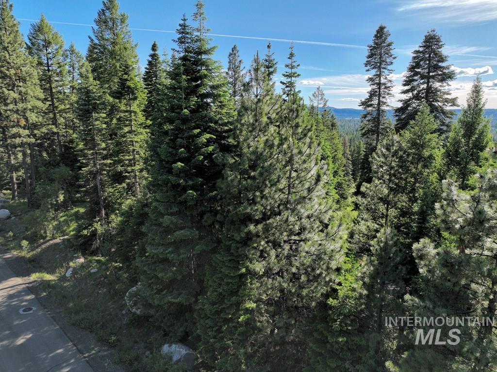 1615 Majestic View Dr., McCall, Idaho 83638, Land For Sale, Price $300,000, 98977650