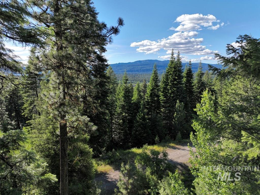 1615 Majestic View Dr., McCall, Idaho 83638, Land For Sale, Price $300,000, 98977650